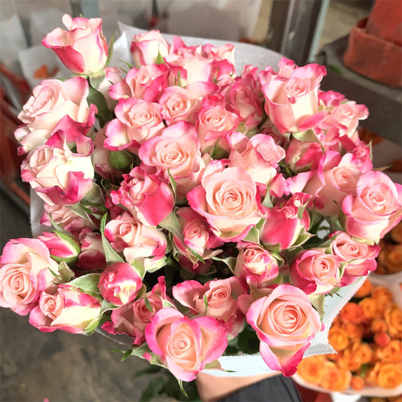 折射多头泡泡玫瑰花云南昆明基地鲜花速递同城百合花束情人节