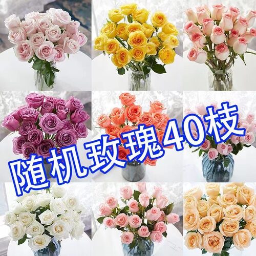 新鲜玫瑰云南昆明斗南基地直发水养百合鲜切花礼物包邮情人节礼物