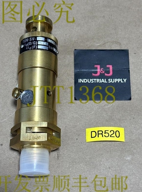 原装供应- Niezgodka 6.3 阀门 TüV-SV-98-604 D/G 0.54 0.1Bar