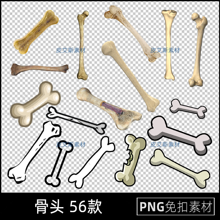 png免抠骨头卡通手绘实拍动物骨头透明底图片ps后期设计素材