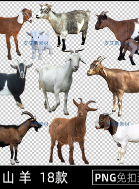 山羊png免抠黑山羊白山羊黄色山羊图片透明元素PS设计素材