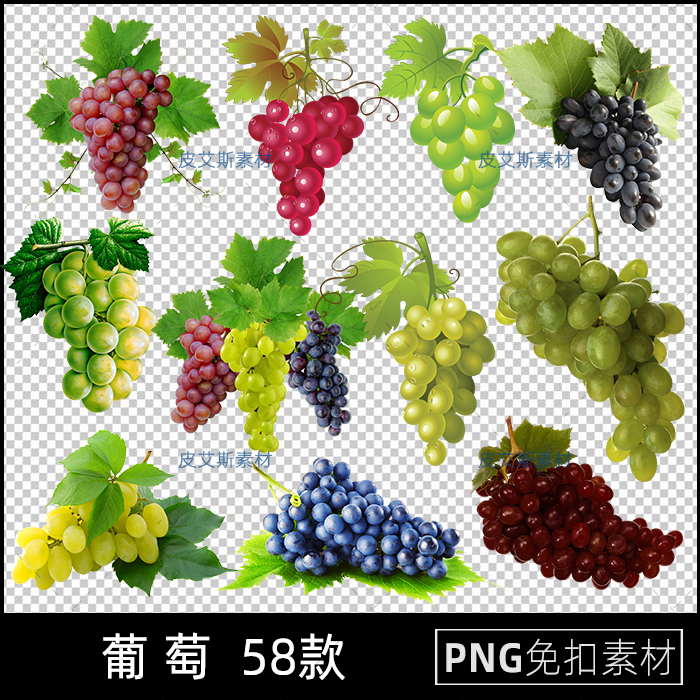 png免抠葡萄绿红黑葡萄藤提子卡通海报插图透明底元素ps设计素材