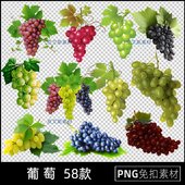 葡萄png免抠绿红黑葡萄藤提子卡通海报插图透明底元 素PS设计素材