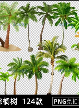 棕榈树png免扣图沙滩椰子树热带树木透明背景免抠PS设计素材