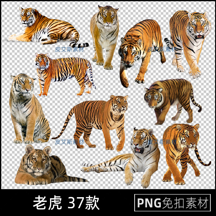 png免抠老虎猛虎动物海报设计后期元素透明底ps设计素材