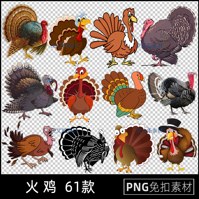 土耳其火鸡png免抠吐绶鸡图片免扣透明底背景动物PS设计素材