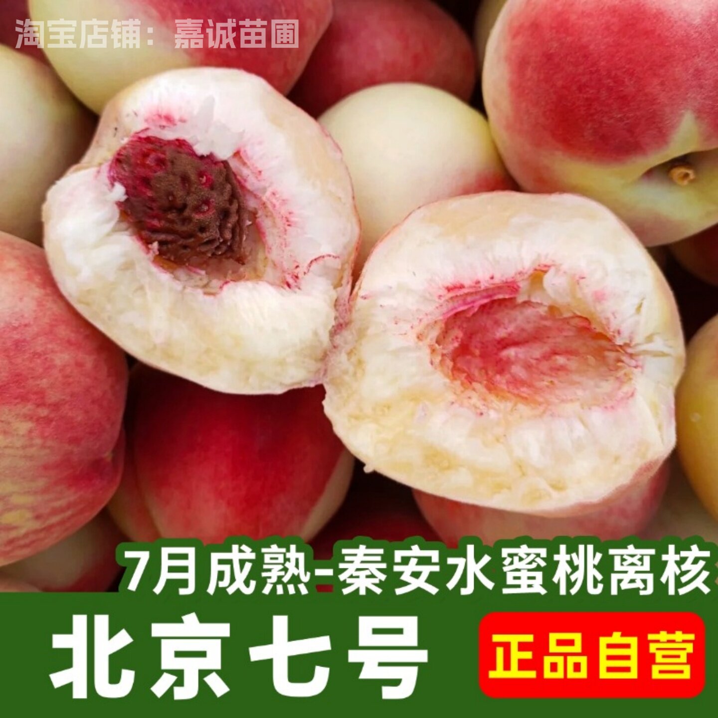 嫁接7号水蜜桃树果苗北京七号桃树苗离核桃苗南北方种植带土发货