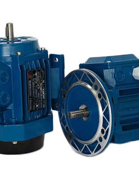 GS100L1-4三相异步电动机GS100L2-4马达三相220V/380V通用