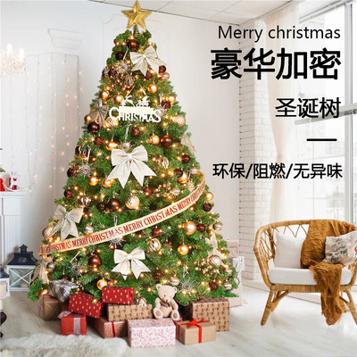 2025新款圣诞树家用套餐装饰品