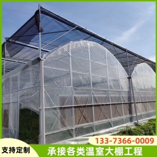 风机湿帘连栋薄膜温室大棚骨架钢管外遮阳花卉蔬菜火龙果连体厂家