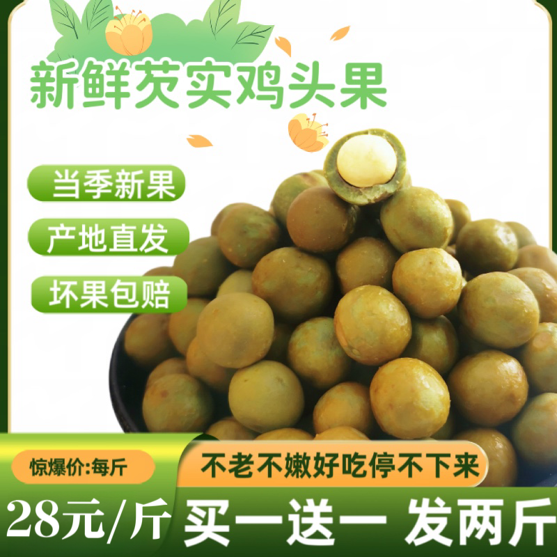 芡实新鲜鸡头果米野生带壳2025新货二青一级天长特产2斤装