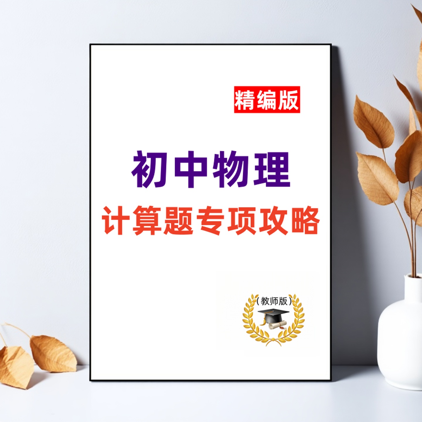 彩印初中物理计算题专项训练