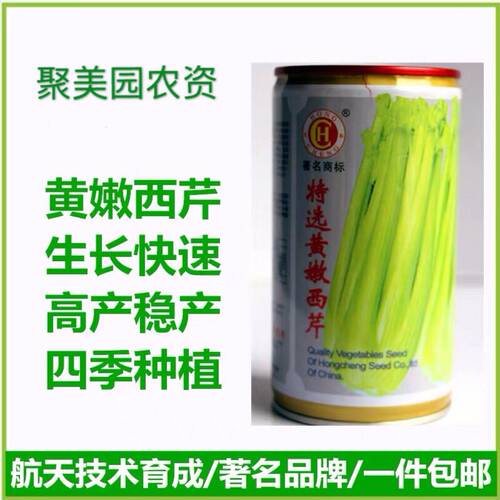 精品宏程牌芹菜种子四季高产抗病好卖好吃改良黄嫩西芹种籽包邮