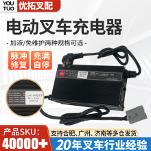 电动搬运车充电机小金刚充电器DL得龙充电器(220V)12V20A叉车配件