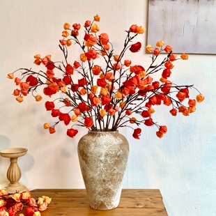 逼真干花栾树灯笼果假花仿真花摆设装饰高档轻奢仿生花束花艺摆件