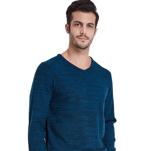 凤凰纯羊毛衫男士V领毛衣秋时尚商务休闲纯羊毛针织打底衫时尚