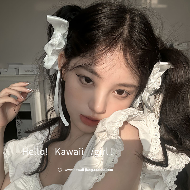 森系白色玫瑰花双马尾对夹