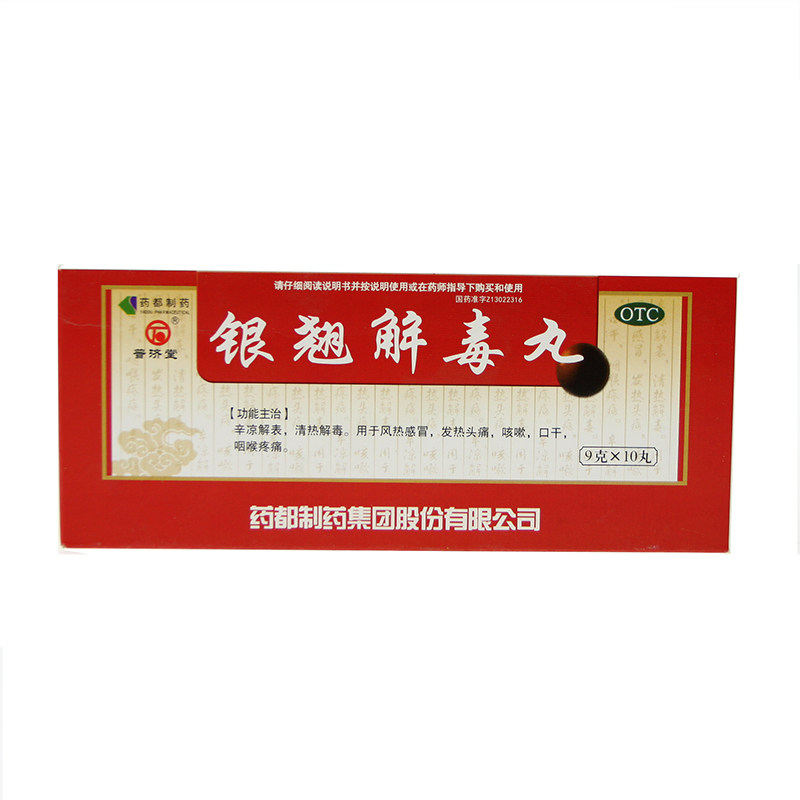 普济堂银翘解毒丸10丸清热解毒感冒咳嗽发热解毒银翘银翘解毒颗丸