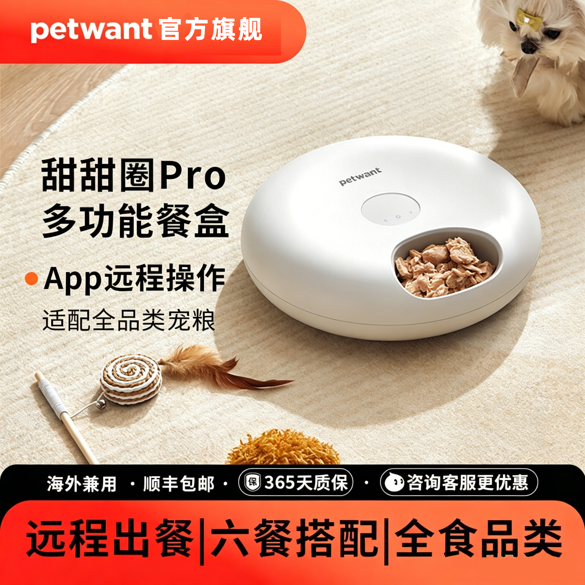 派旺6餐WIFI宠物喂食器专利APP定时远程自动猫咪狗狗通用分食器
