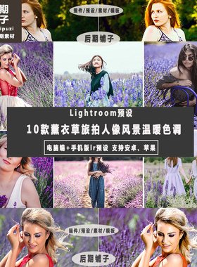 ins薰衣草旅拍人像LR预设+手机版LR预设安卓iPhoneipad LR滤镜