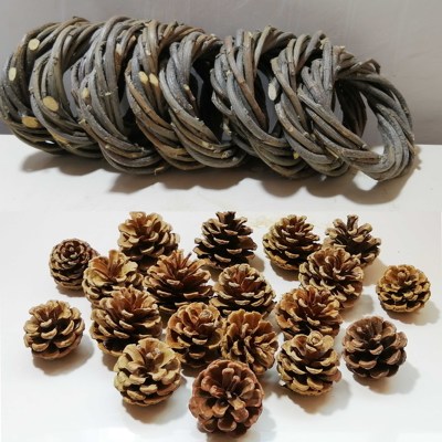 爱多多松塔苹果枝编制环磨牙啃咬