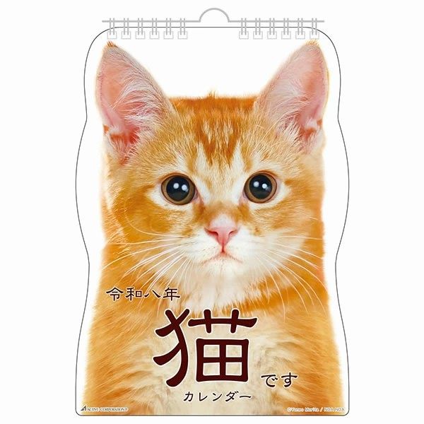 现货2026年马年日本猫咪三花猫英短蓝猫折耳猫可爱新年挂历月历