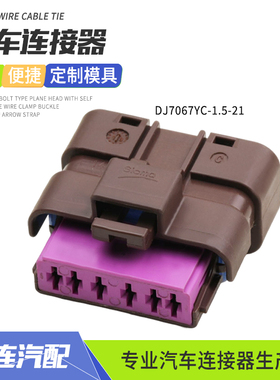 DJ7067YC-1.5-21连接器适用于标致世嘉C5汽油泵插头211PC062S1049