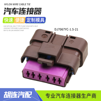 DJ7067YC-1.5-21连接器适用于标致世嘉C5汽油泵插头211PC062S1049