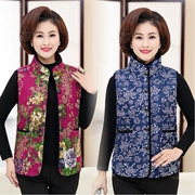 Phụ nữ trung niên vest vest cotton mẹ tải mùa thu và áo khoác mùa đông ông già bà mùa thu và mùa đông áo khoác cotton mỏng vest - Áo vest