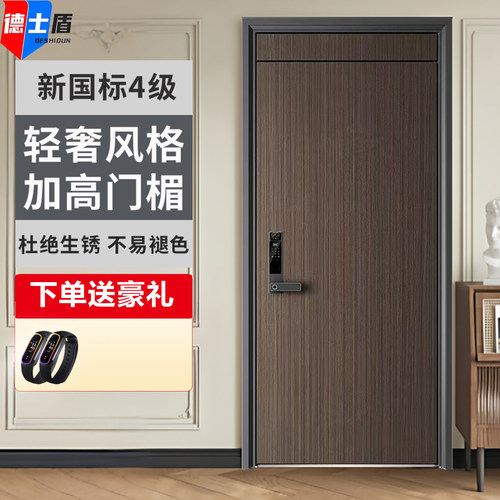 德士盾国标甲级家用防盗门