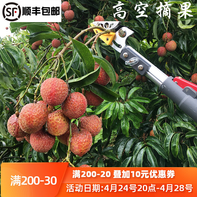 摘果神器高枝剪修枝剪伸缩摘果摘枇杷荔枝高空摘水果剪刀采摘器_虎窝淘