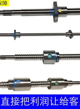 厂家直销LCF49-20-5/10-L200/L1200-F20/F36-P8/P12压轧滚珠丝杠