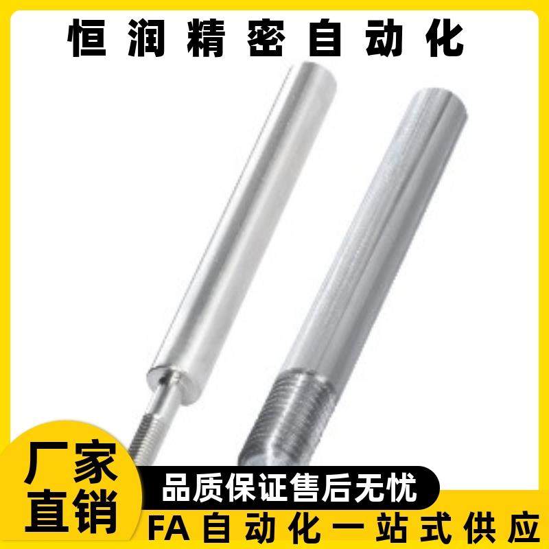 导向轴SEE01/02/06/07-D3D4D5D6D8D10D12D16D20D30-L20~L1500-B3