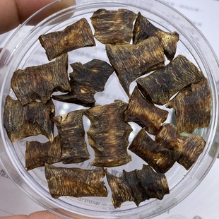 白奇楠沉香块料 9分沉水白棋楠海南满油料 可做吊坠 凉甜花香味浓