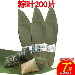 粽叶 粽子叶200张 大粽叶野生干粽叶子新鲜正宗农家大竹叶纯天然