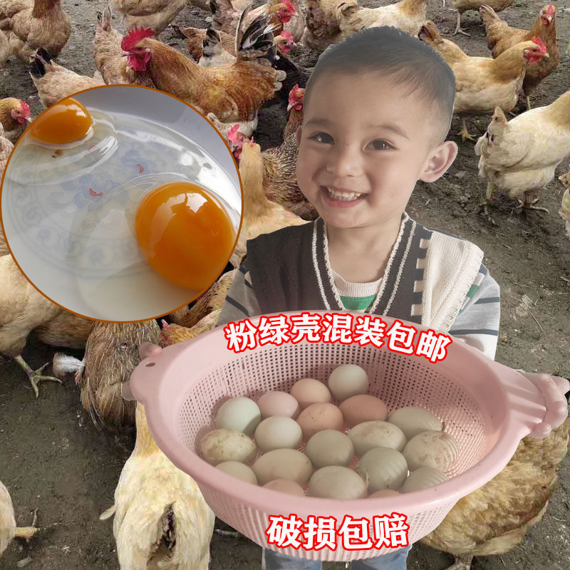 乡村鹊山新鲜土鸡蛋30枚种蛋自养散养土鸡蛋草鸡蛋笨鸡蛋,水产肉类/新鲜蔬果/熟食,鸡蛋,淘宝优惠券,粉丝福利购,淘宝优惠卷