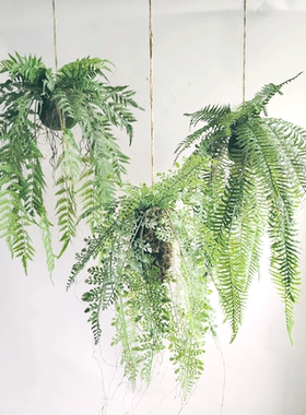 植物空气餐厅吊装花艺柜顶装饰