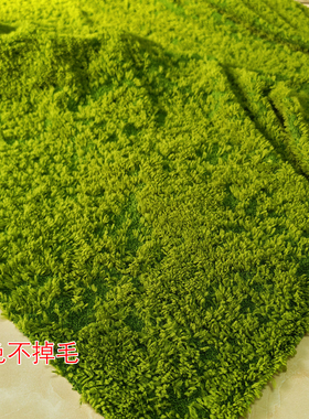 2026年新品假草仿真苔藓布草皮草坪地毯青苔不掉毛造景人工草地