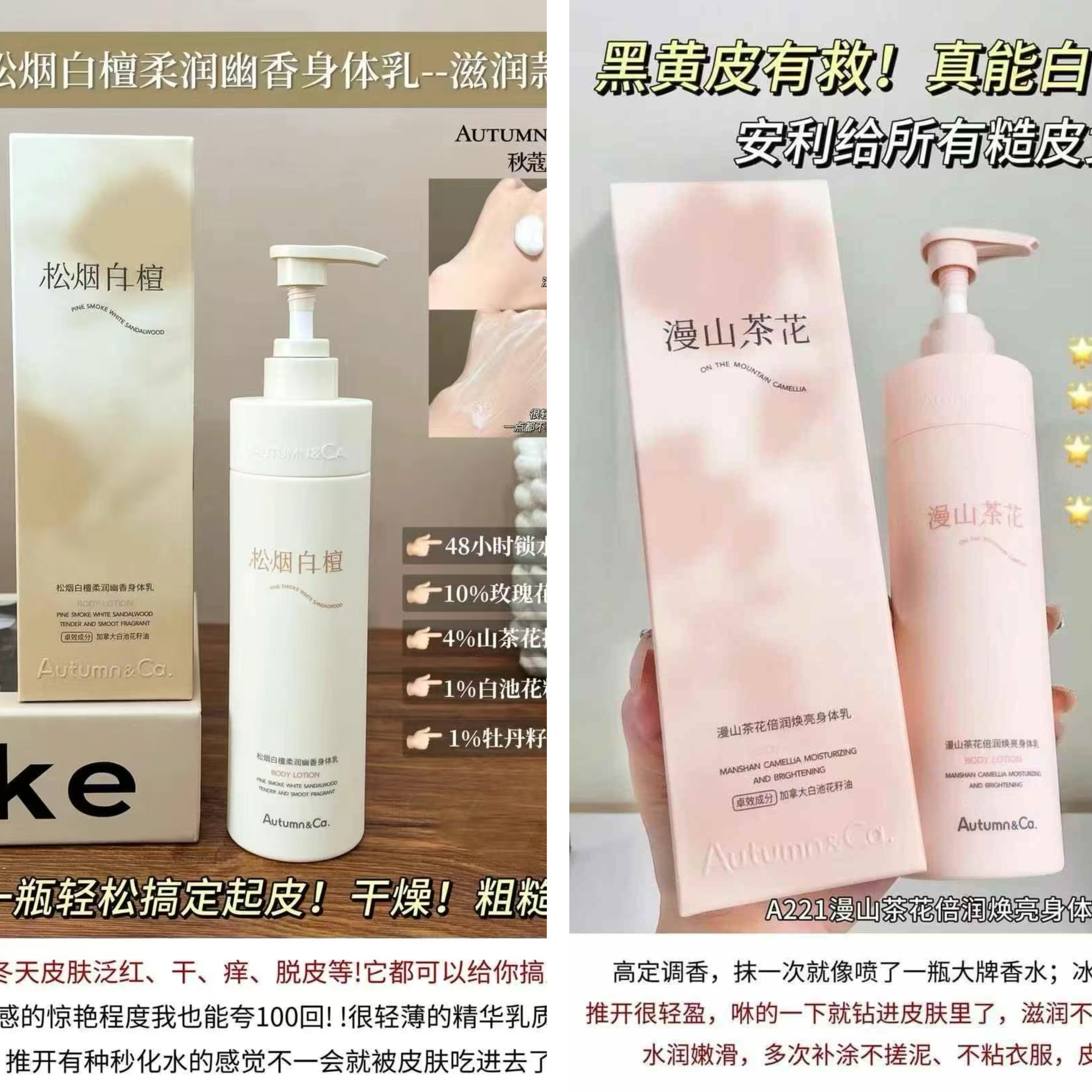 秋蔻漫山茶花倍润焕亮松烟白檀柔身体乳/霜