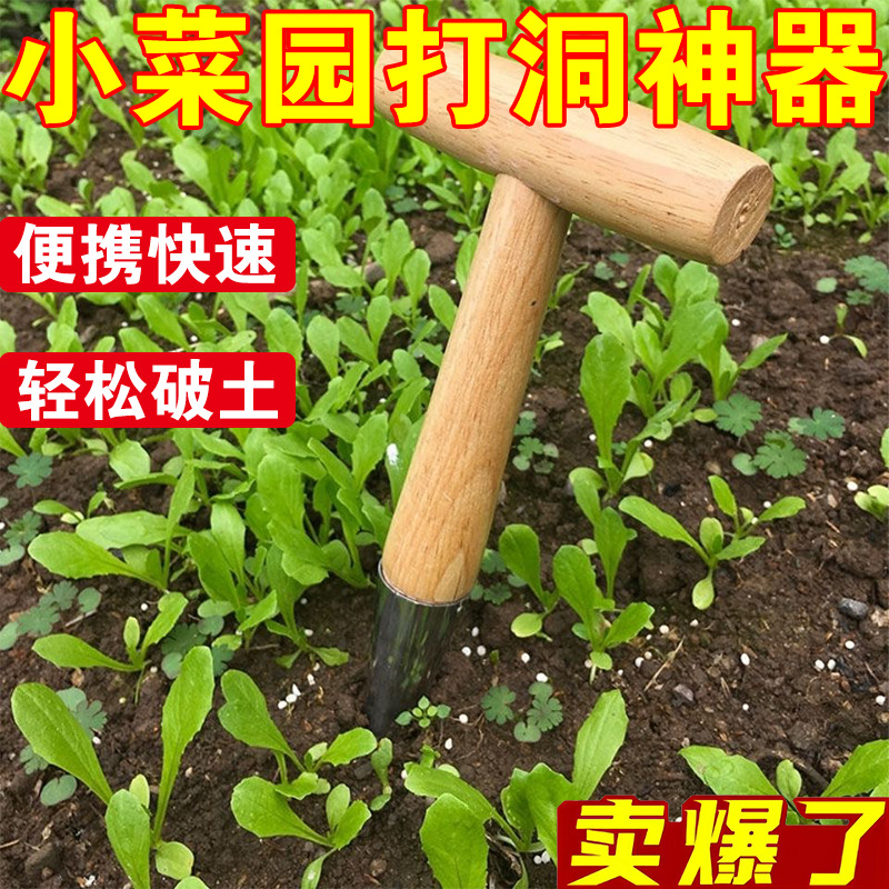 园艺播种器苗盘大蒜手动育苗播籽器园艺木柄打洞神器移苗种花种菜