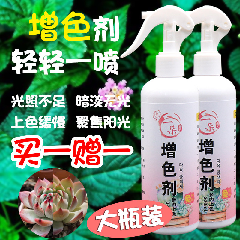 金枝玉叶开花多肉增色剂控制徒长叶子黄叶肉肉生根增艳出锦营养剂