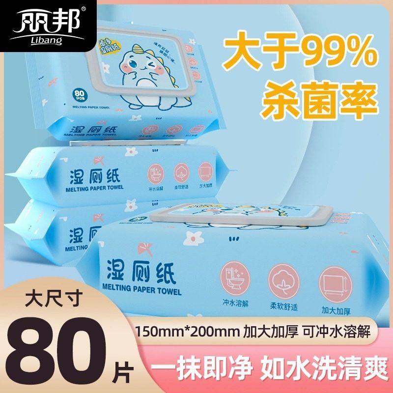 家庭女士专用擦屁屁孕妇私处装男女性实惠厕巾湿巾洁厕丽邦湿厕纸,洗护清洁剂/卫生巾/纸/香薰,湿厕纸,淘宝优惠券,粉丝福利购,淘宝优惠卷