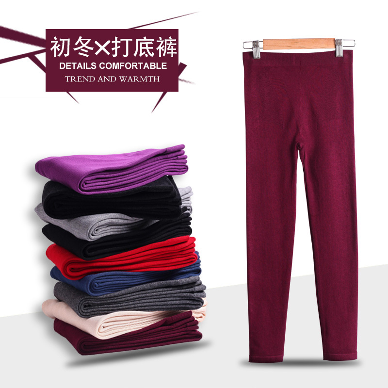 打底裤梵泰迪丝保暖裤毛圈绒加厚