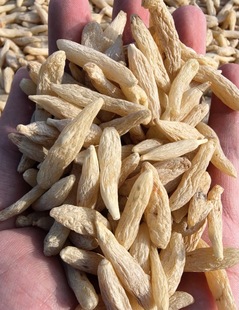 正品川麦冬颗粒饱满无添加 可搭配玉竹石斛  煲汤炖汤广东靓材料