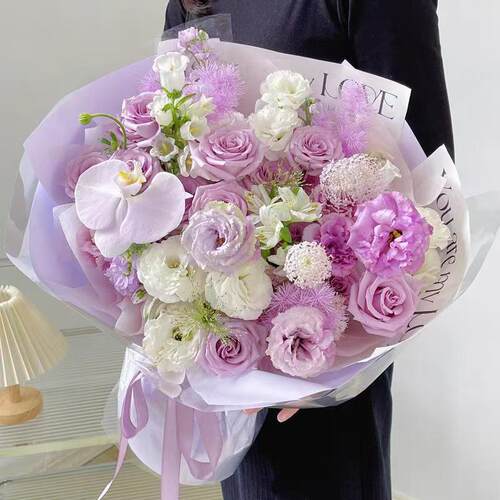 西昌木里盐源德昌普格县布拖金阳