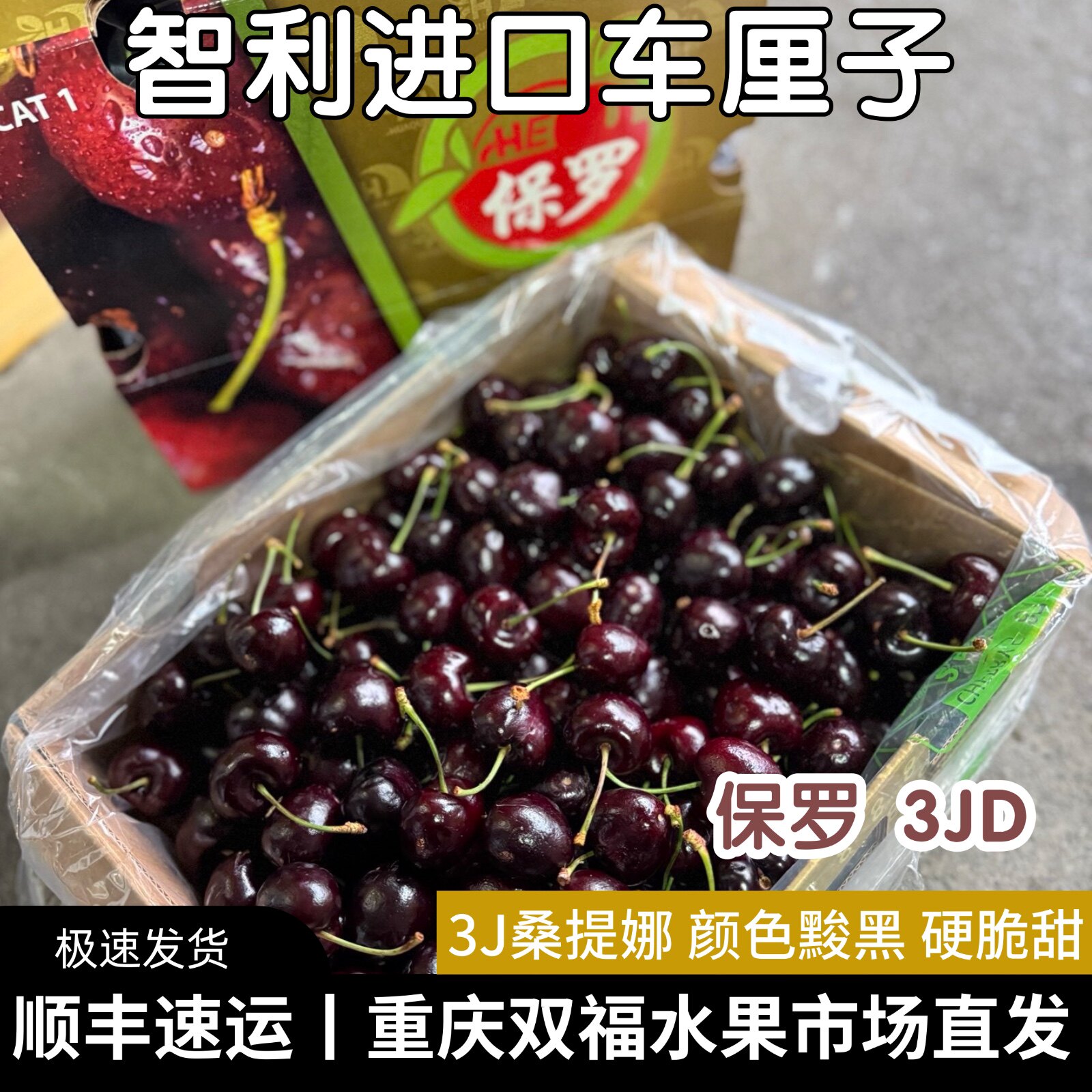 保罗3JD桑提娜黑车智利车厘子