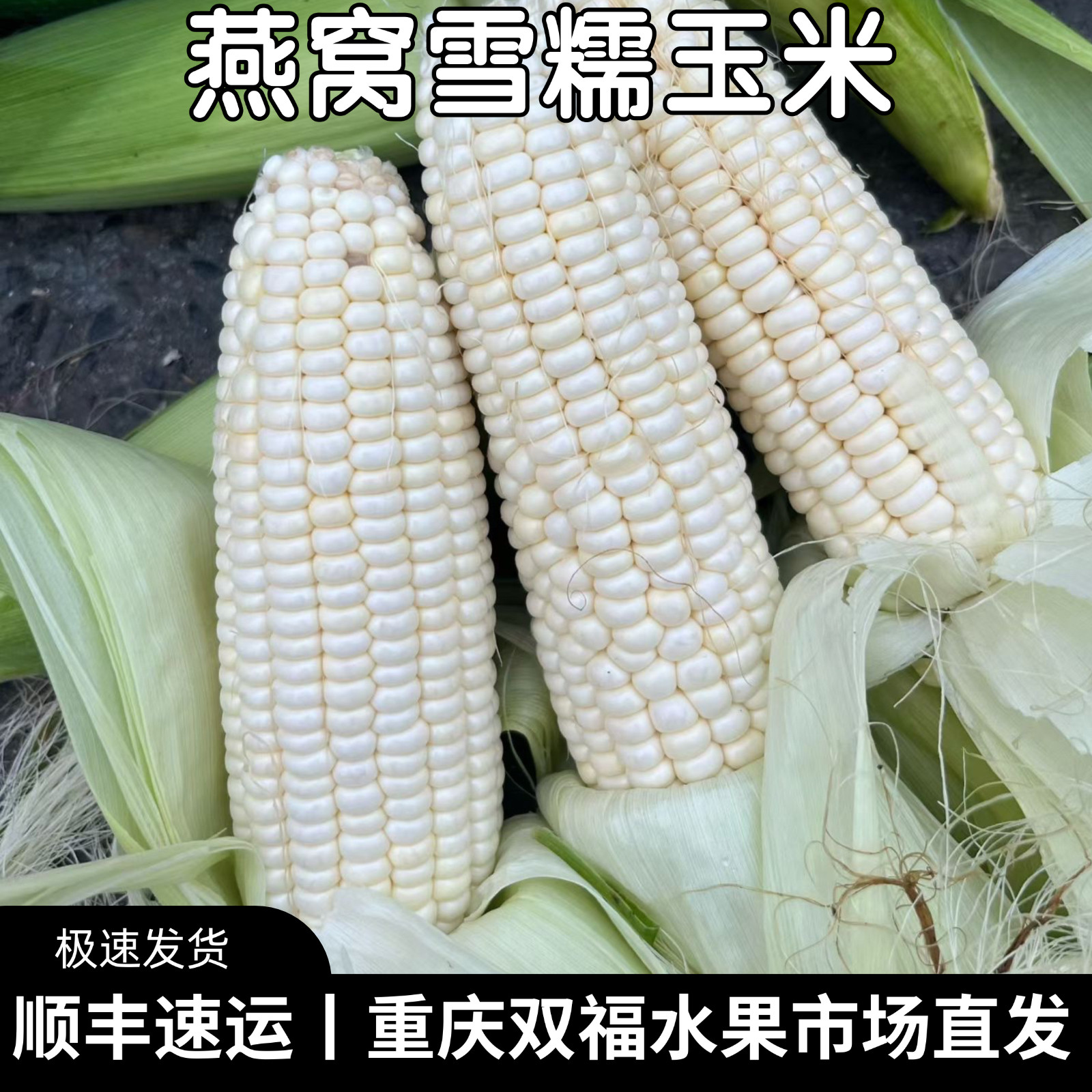 燕窝雪糯玉米上新~非常好吃的一款糯包谷3斤5斤10斤带壳发货双福