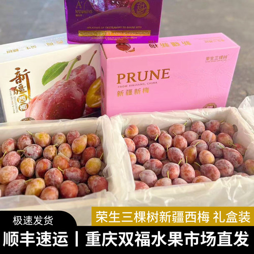 荣生三棵树新疆西梅精品礼盒装 净重约3.2斤 甜度高当季水果 双福