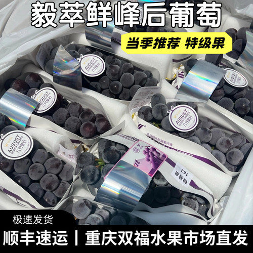 毅萃鲜峰后葡萄特级果3斤5斤家庭装八月皇后鲜甜当季水果重庆双福