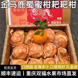 金马鹿蜀蜜柑耙耙柑精品礼盒装甜度高皮薄多汁年货送礼重庆双福